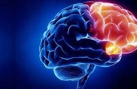 The Science Behind Neurological Disorders and Their&nbsp;Management